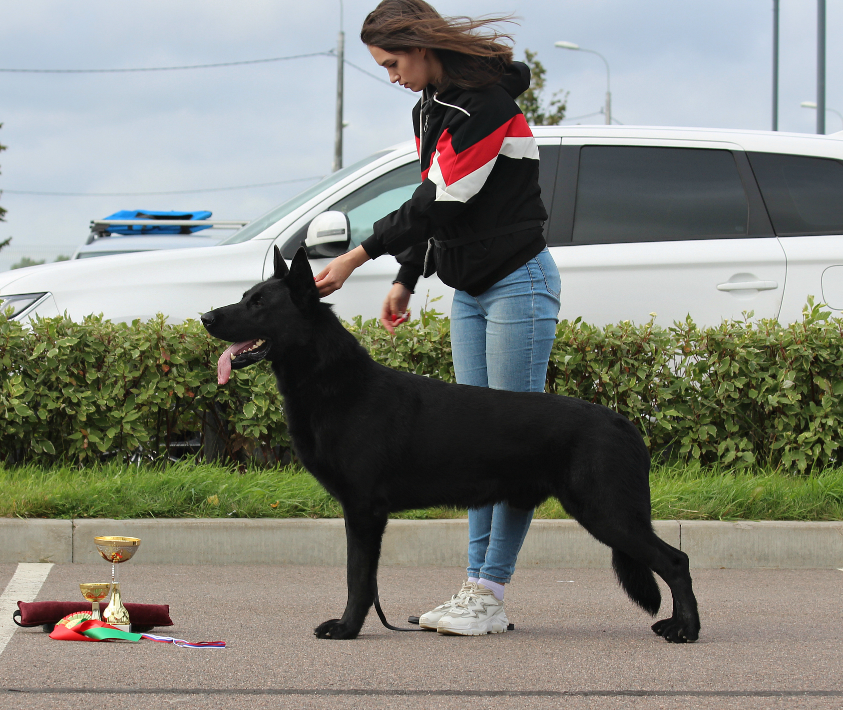 Моно спб. Питомник Лагвардия ВЕО СПБ. Выставки ВЕО моно 2020 году. Grand Kennel Kairos.