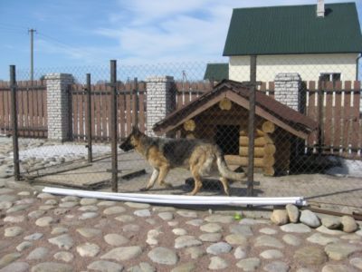 вольер (10) вольер (10)