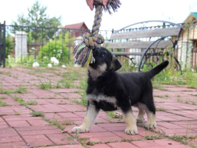 ИГРА