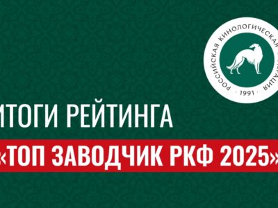 рейтинг 2025 рейтинг 2025