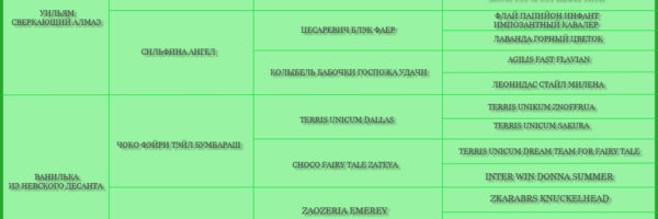 УИЛЬЯМ х ВАНИЛЬКА